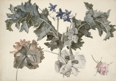 Dubbelbloemige papavers, papaverbladeren, ridderspoor en een rozenknop door Eelke Jelles Eelkema